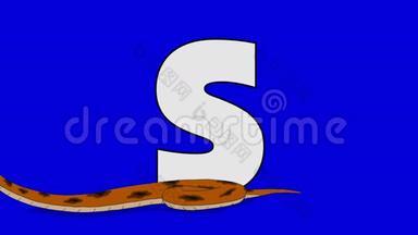 字母S和蛇（前景）